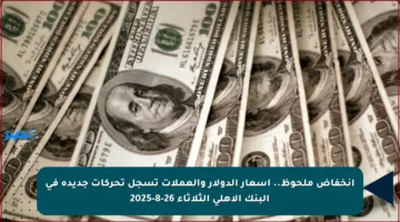 انخفاض ملحوظ.. أسعار الدولار والعملات تسجل تحركات جديدة في البنك الأهلي الثلاثاء 26-8-2025